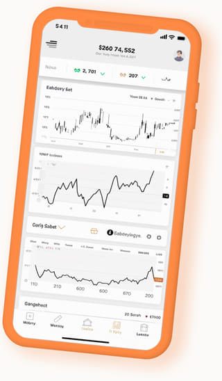 digitale webapplicatie van Pijler Kapithof op mobiel toestel